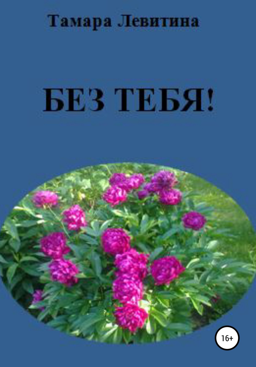 Обложка книги «Без тебя»