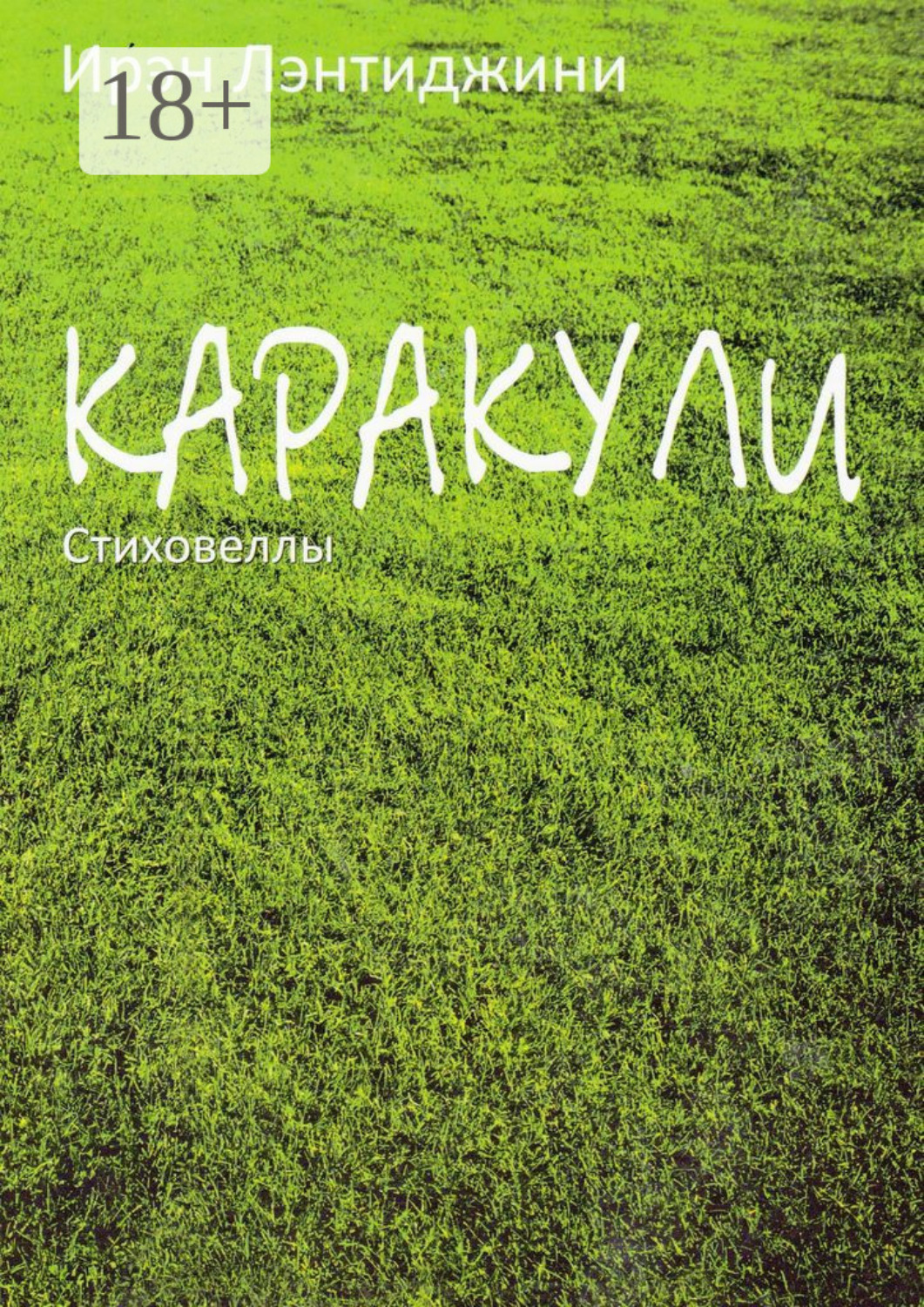 Обложка книги «Каракули»