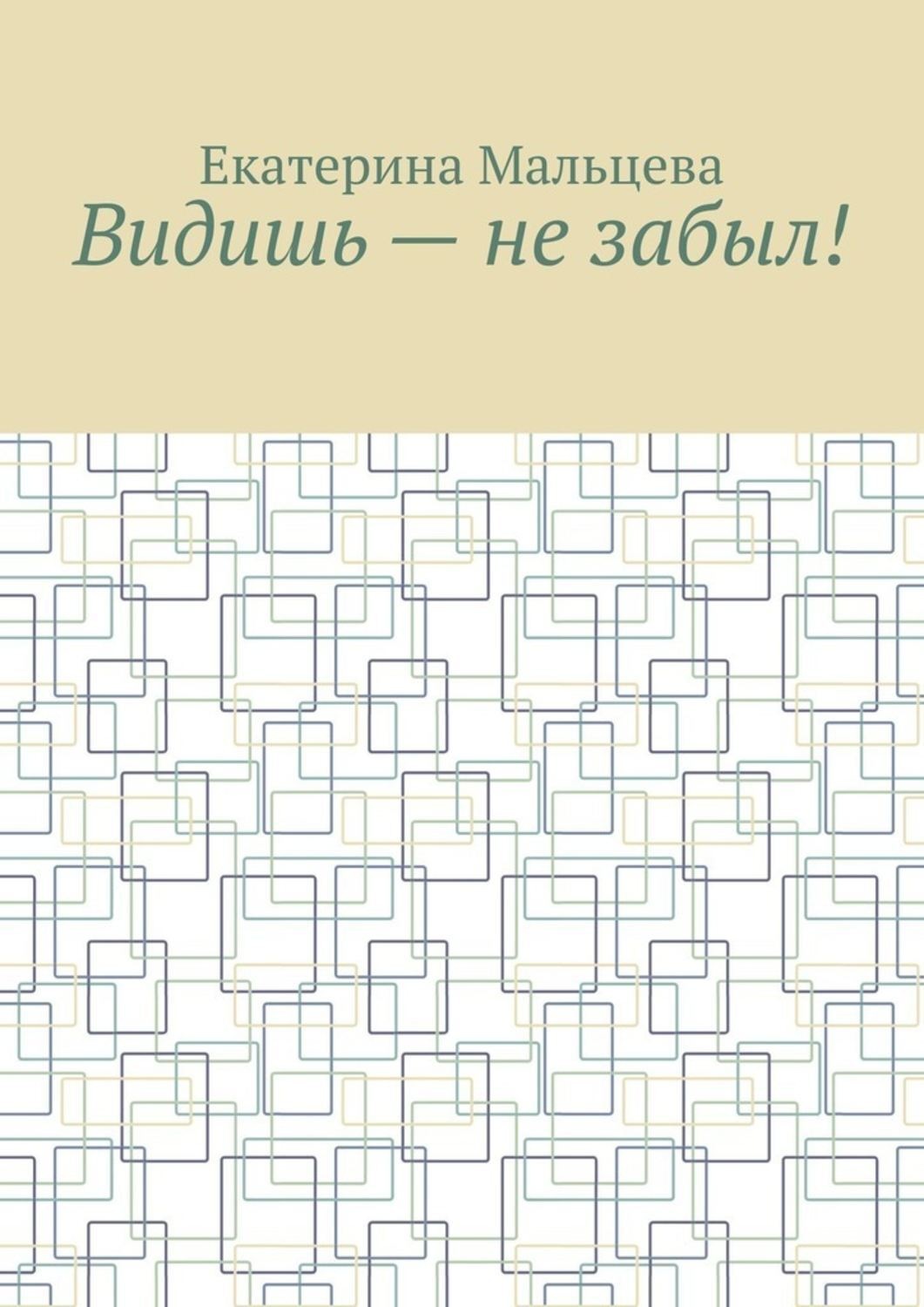 Обложка книги «Видишь – не забыл!»