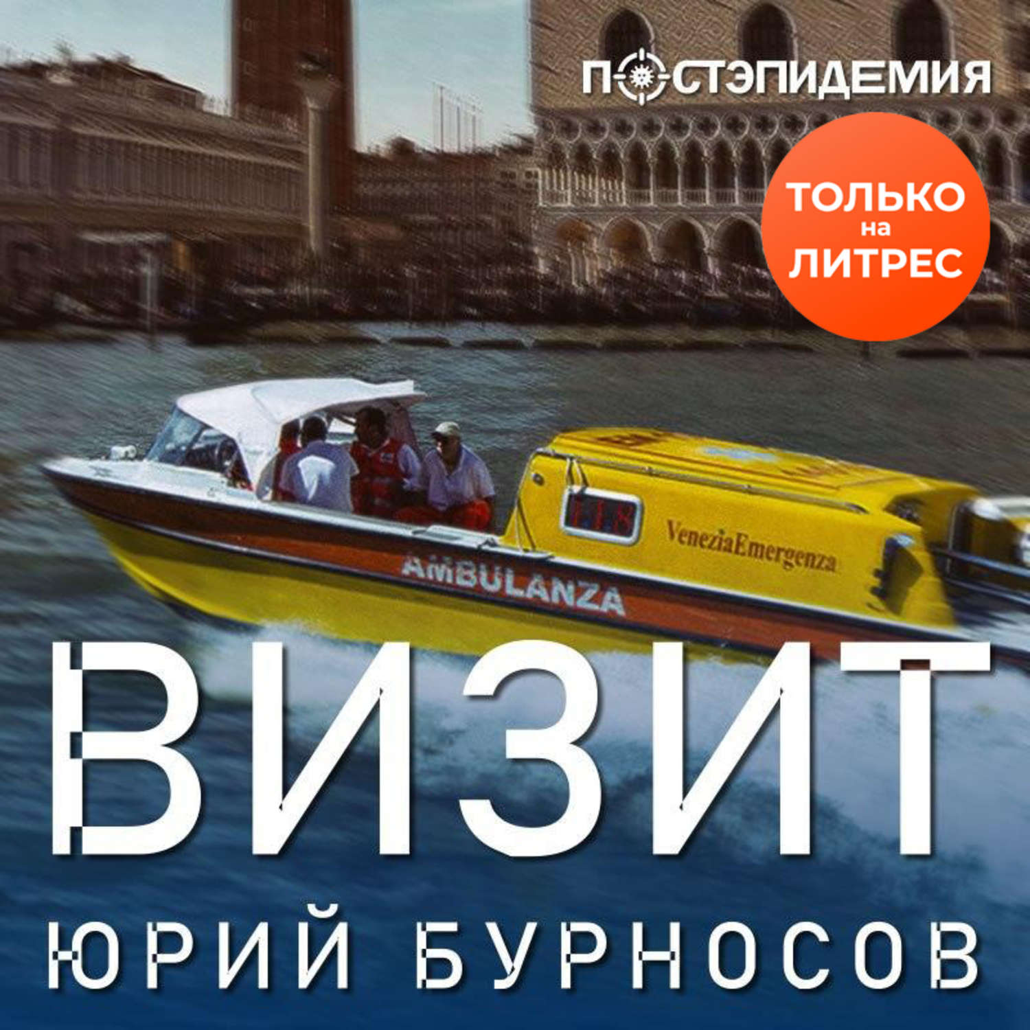 Обложка книги «Визит»