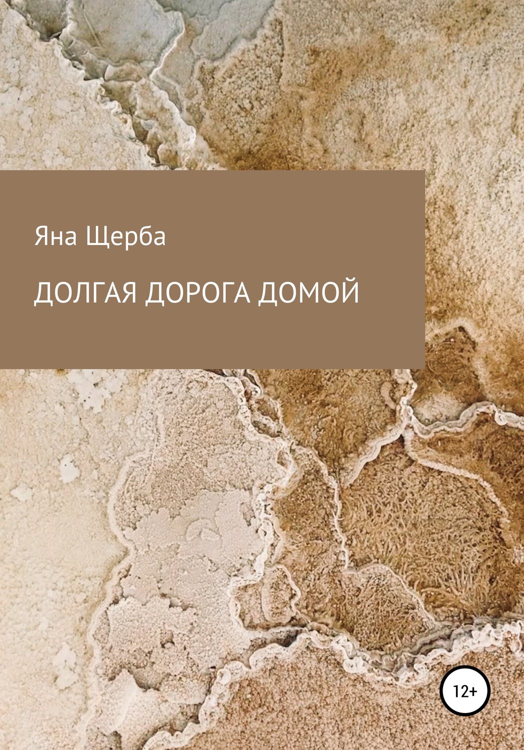Обложка книги «Долгая дорога домой»