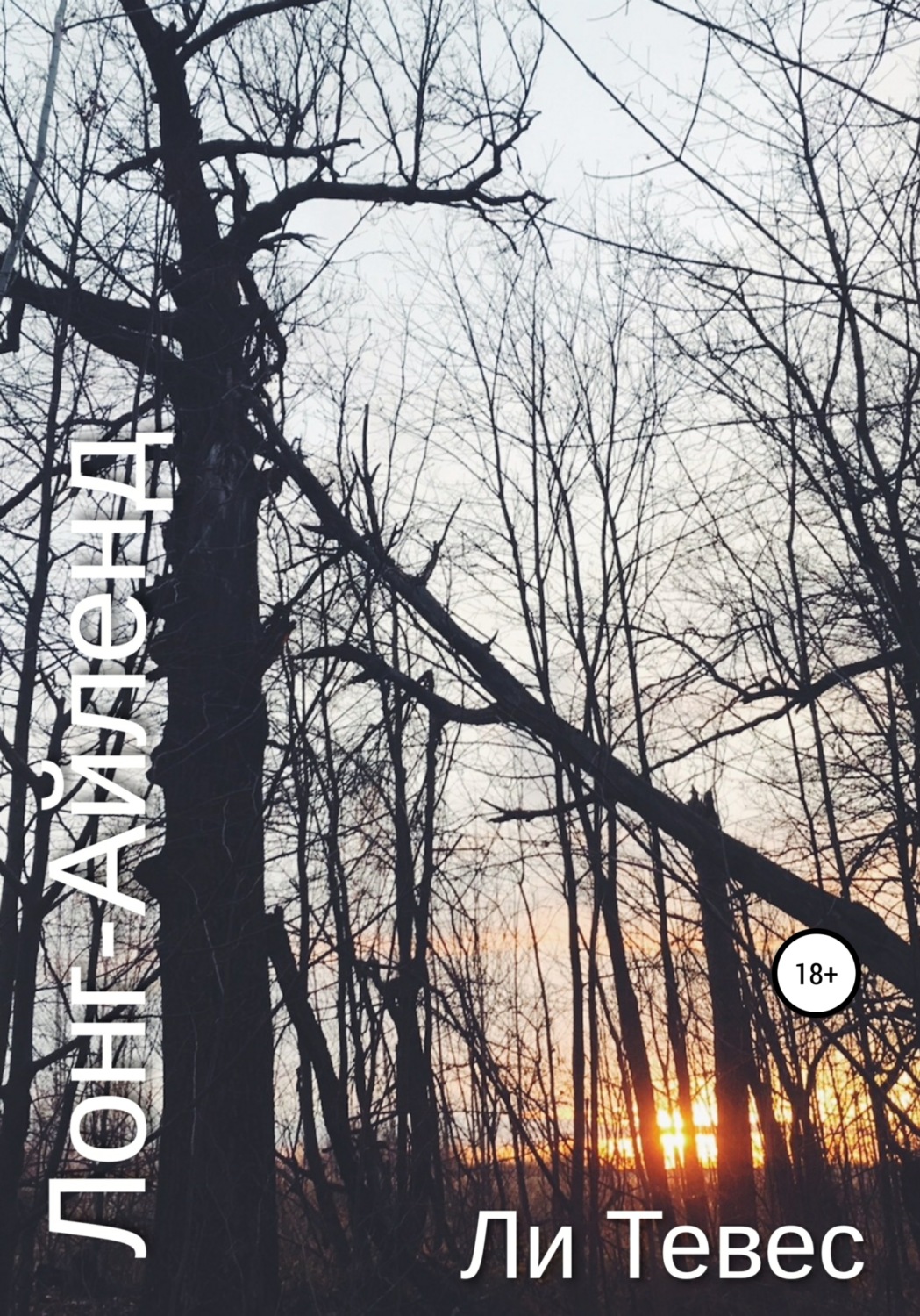Обложка книги «Лонг-Айленд»