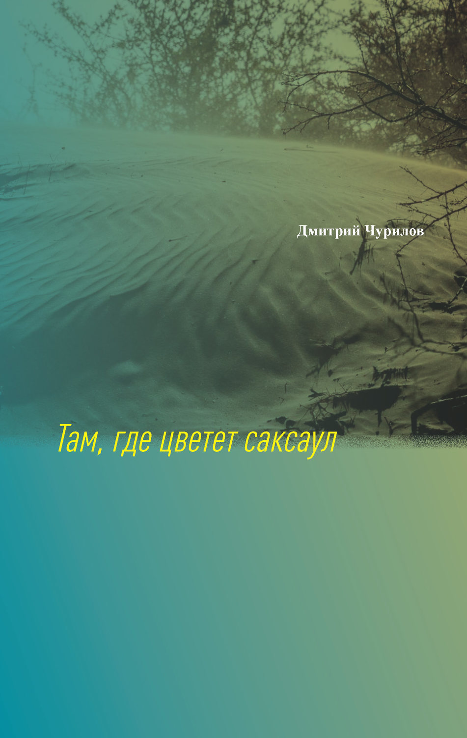Обложка книги «Там, где цветет саксаул»