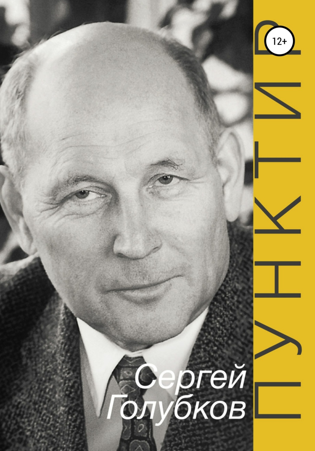 Обложка книги «ПУНКТИР»