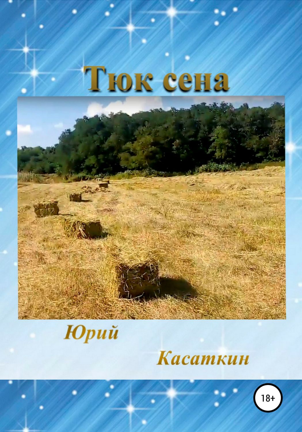 Обложка книги «Тюк сена»