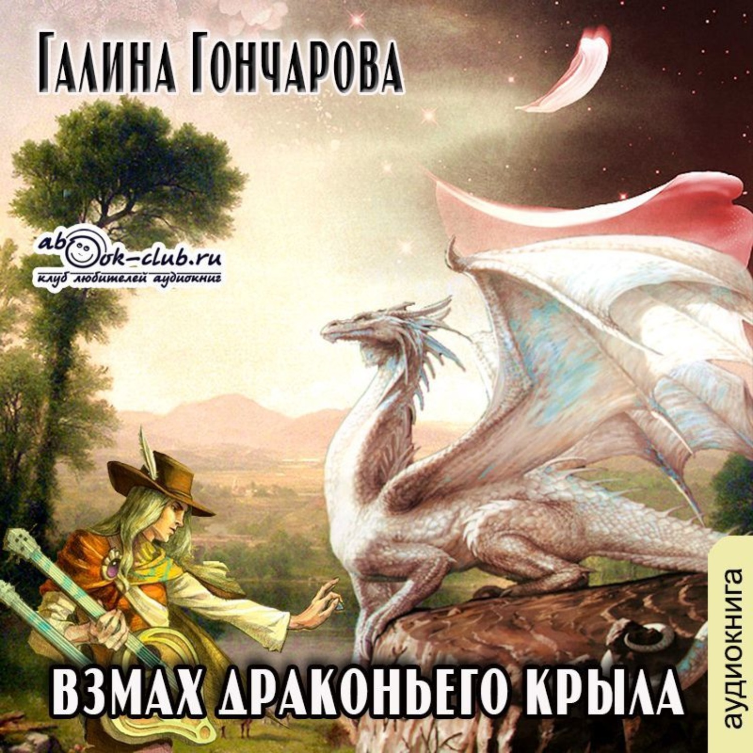 Обложка книги «Взмах драконьего крыла»