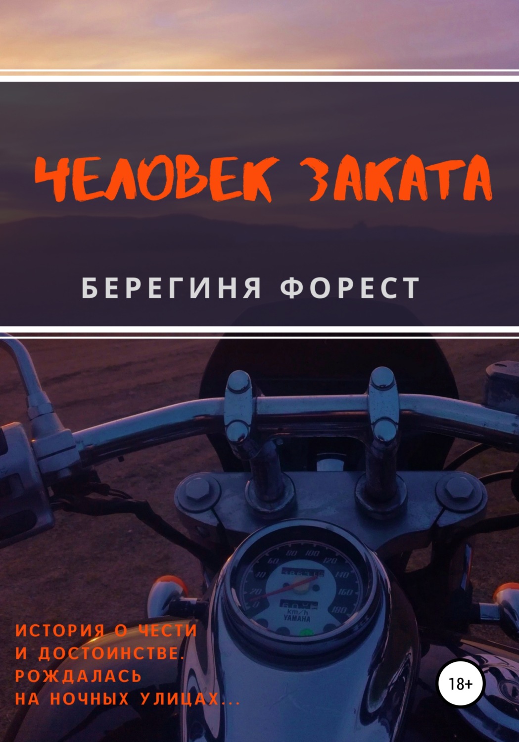 Обложка книги «Человек заката»