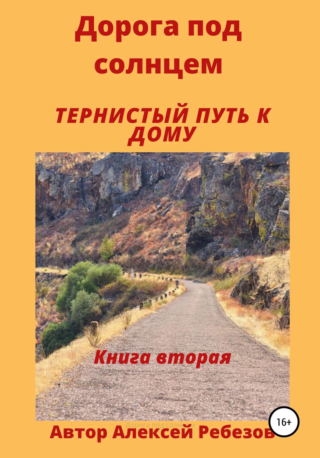 Обложка книги «Дорога под солнцем. Книга вторая. Тернистый путь к дому»