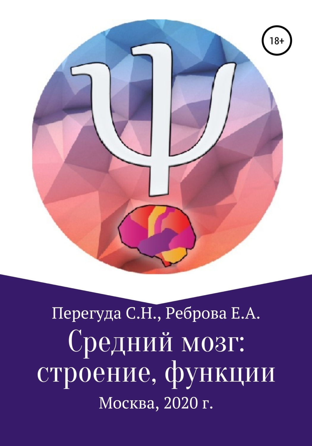 Обложка книги «Средний мозг: строение и функции»