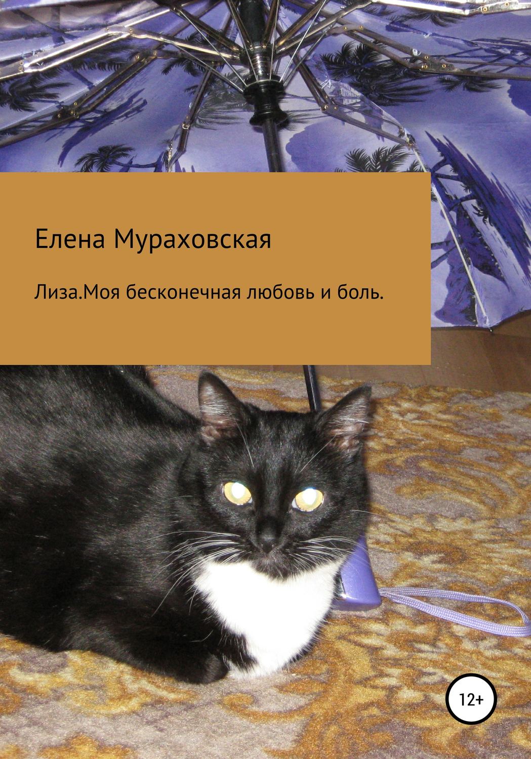 Обложка книги «Лиза. Моя бесконечная любовь и боль»