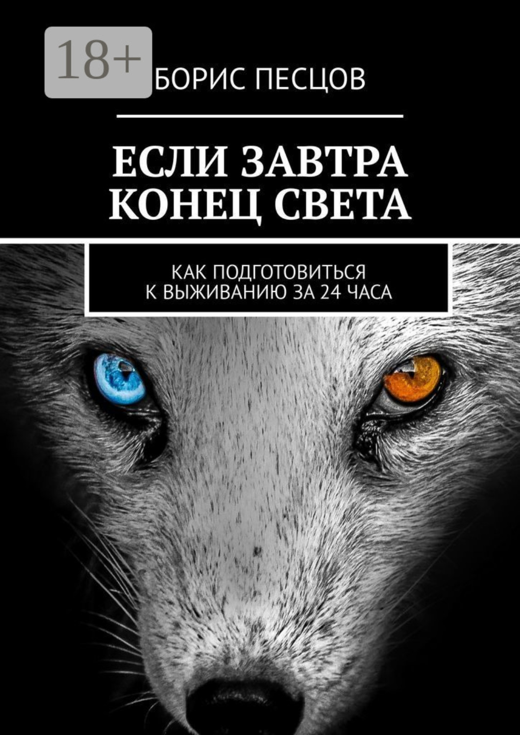 Обложка книги «Если завтра конец света. Как подготовиться к выживанию за 24 часа»