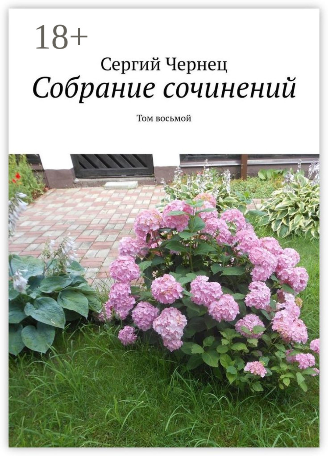Обложка книги «Собрание сочинений. Том восьмой»