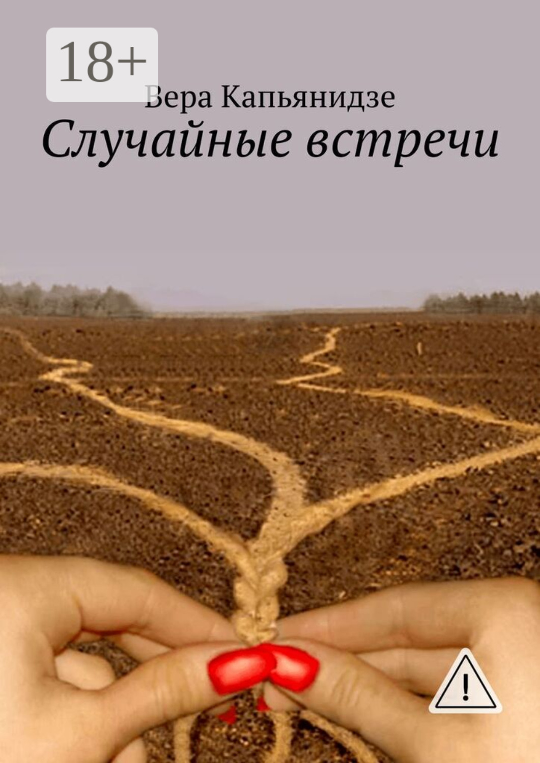 Обложка книги «Случайные встречи»