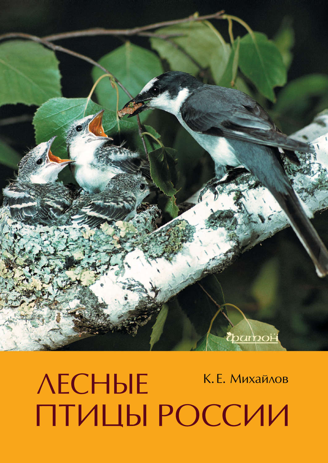 Обложка книги «Лесные птицы России»