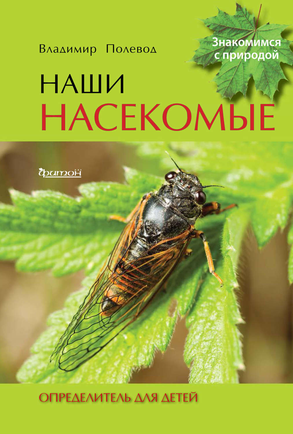 Обложка книги «Наши насекомые. Определитель для детей»