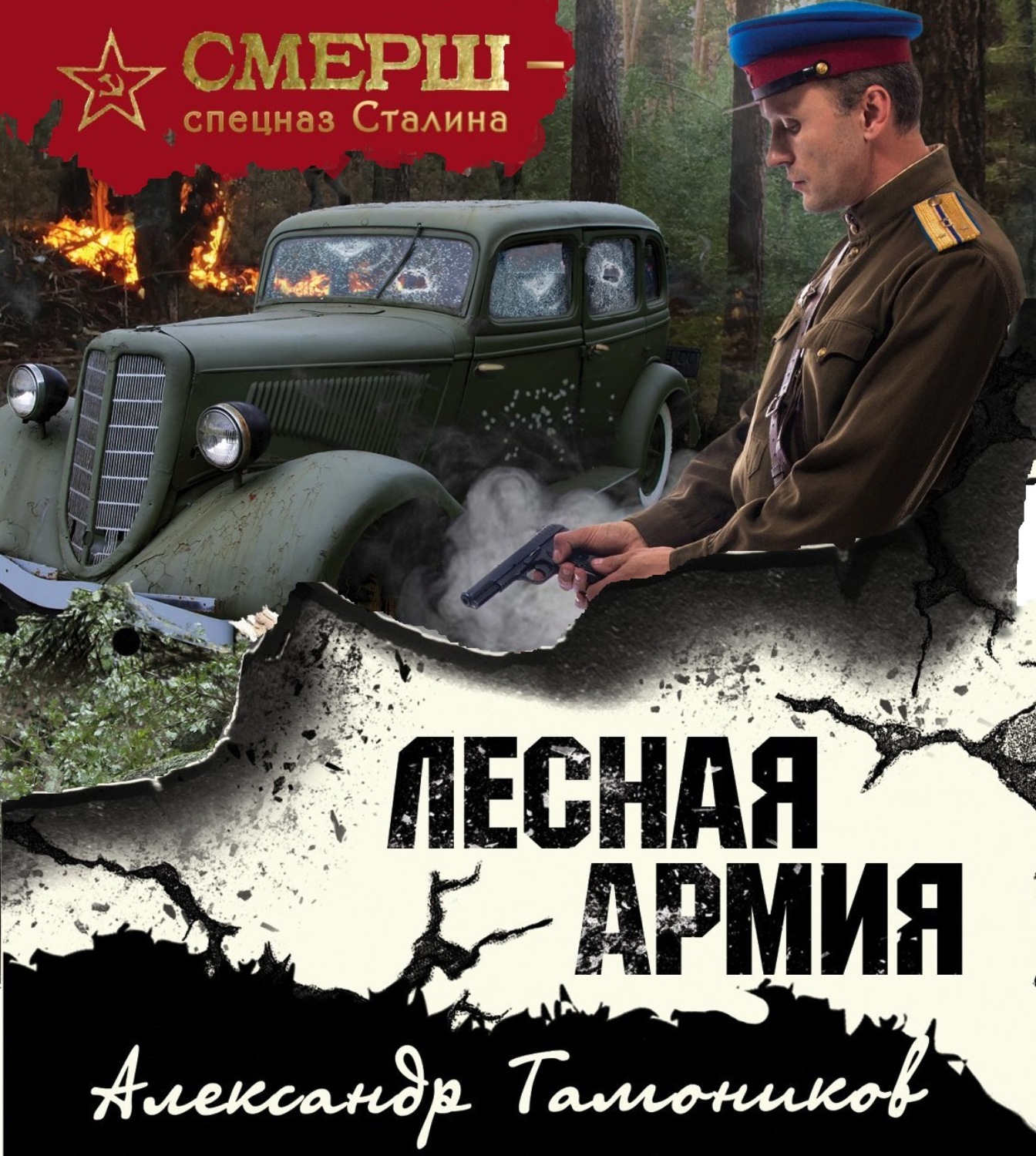 Обложка книги «Лесная армия»