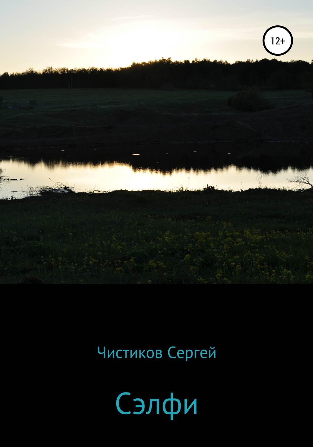Обложка книги «Сэлфи»