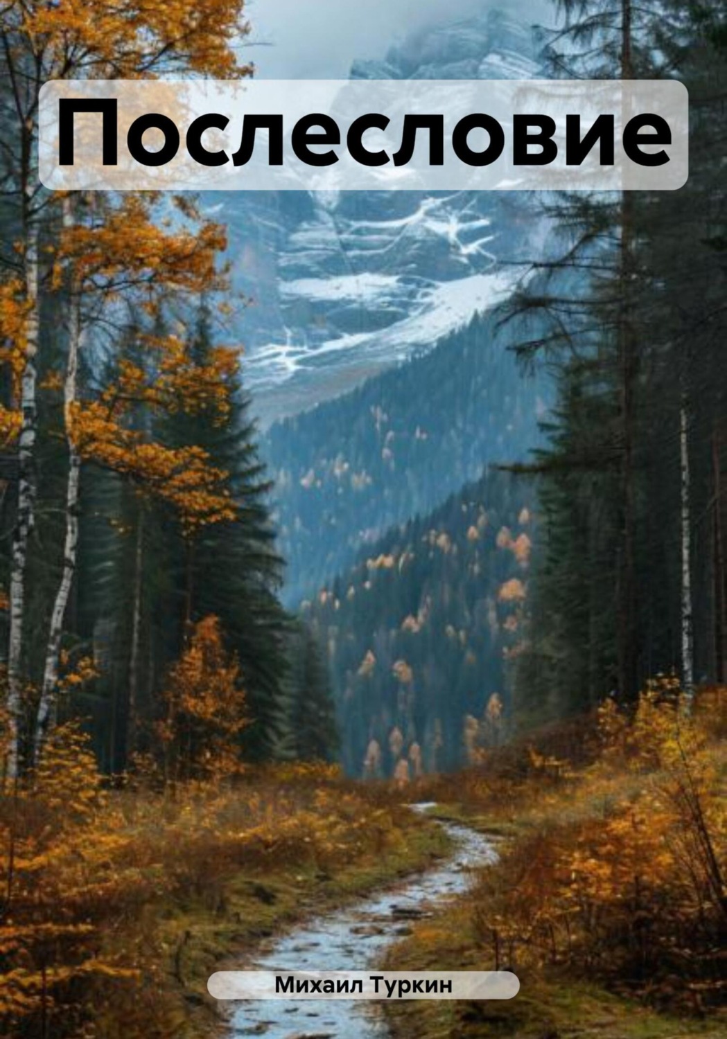 Обложка книги «Послесловие»