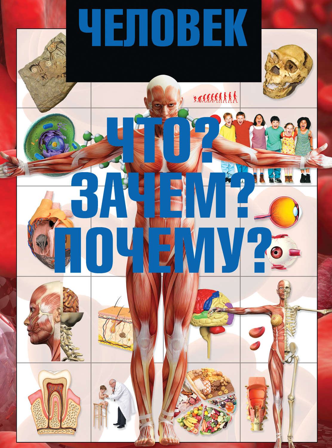 Обложка книги «Человек. Что? Зачем? Почему?»