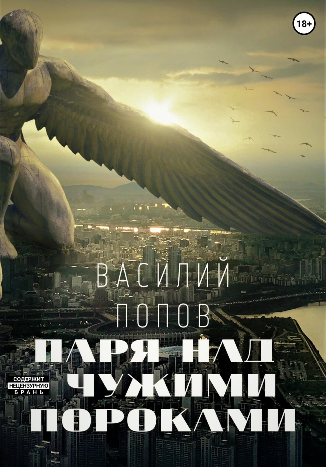 Обложка книги «Паря над чужими пороками»