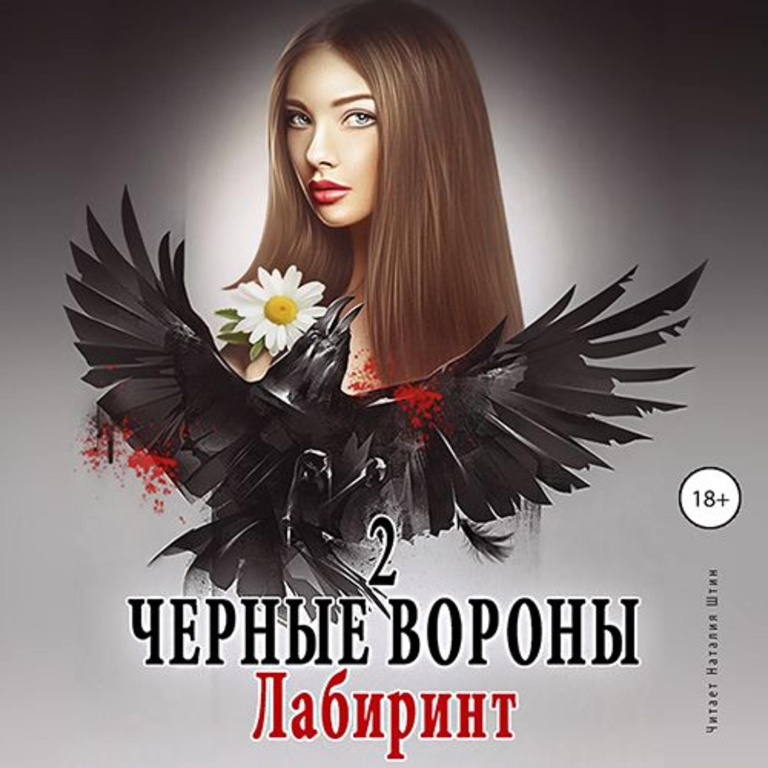 Обложка книги «Черные вороны 2. Лабиринт»