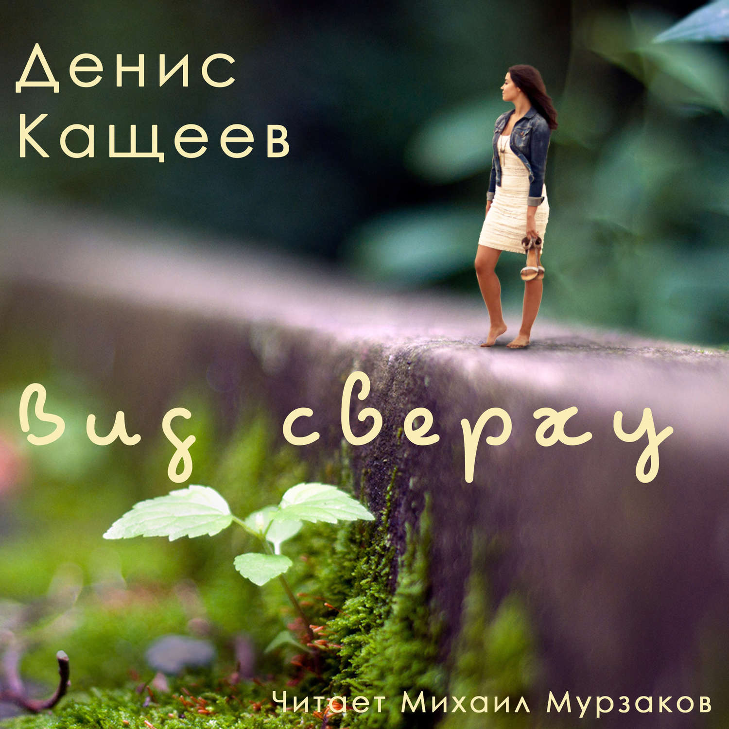 Обложка книги «Вид сверху»
