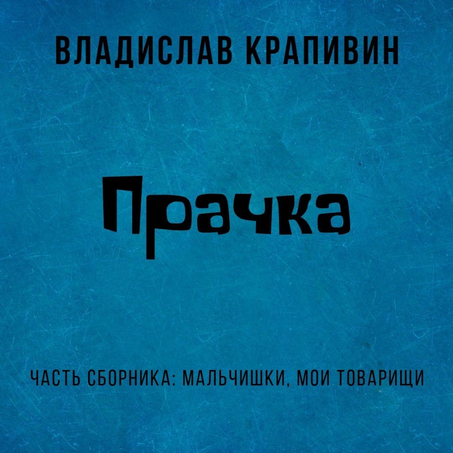 Обложка книги «Прачка»