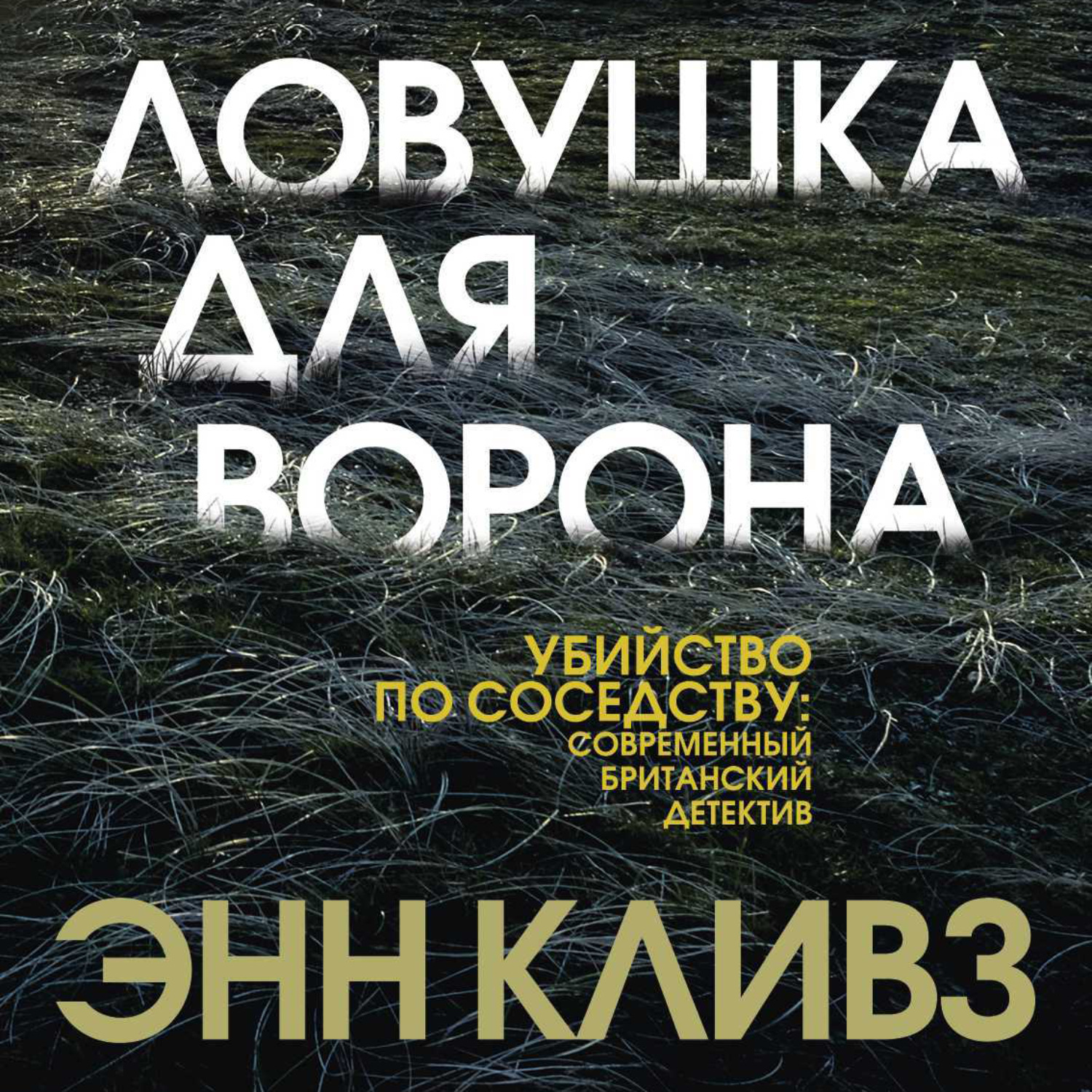 Обложка книги «Ловушка для ворона»