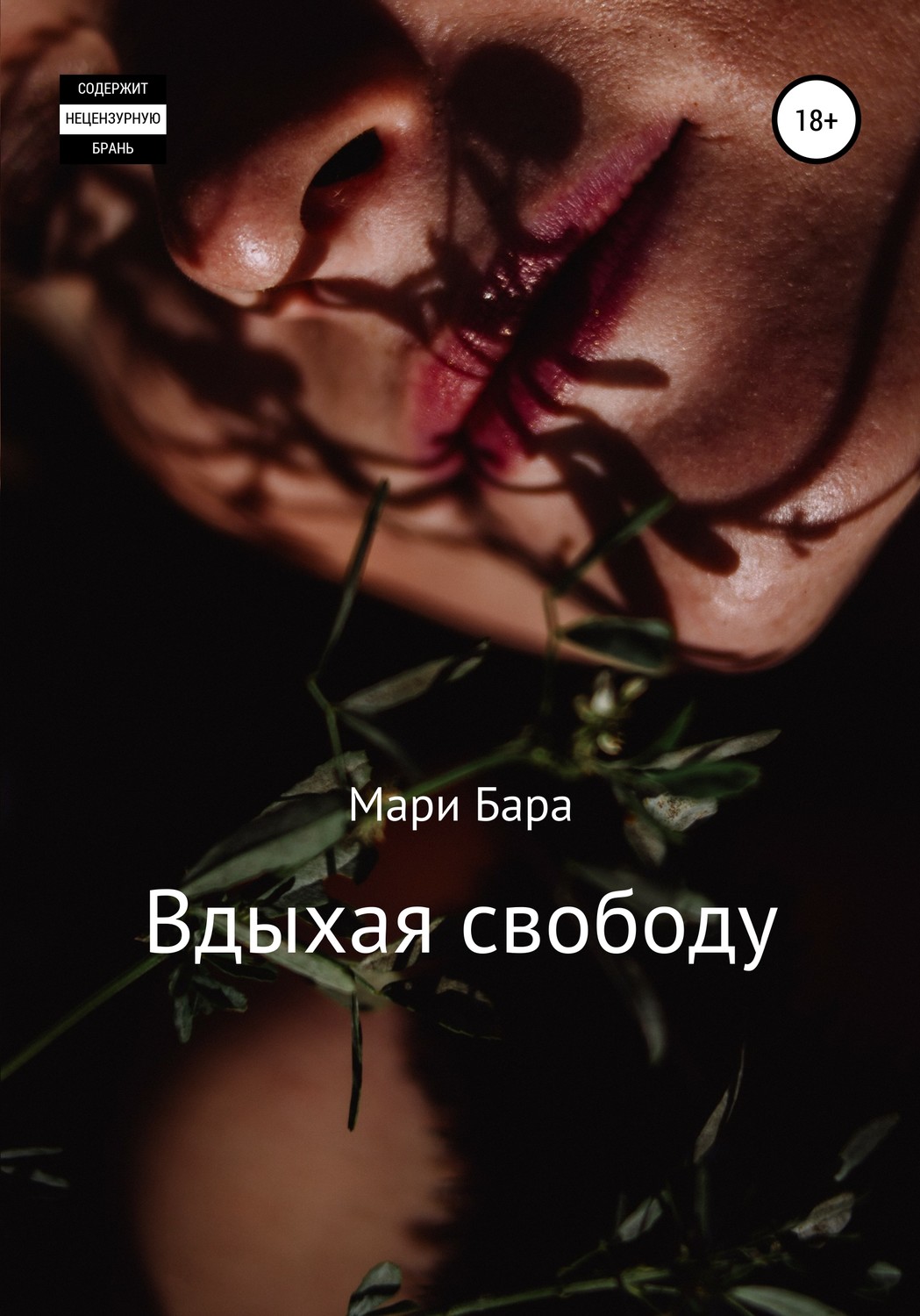 Обложка книги «Вдыхая свободу»