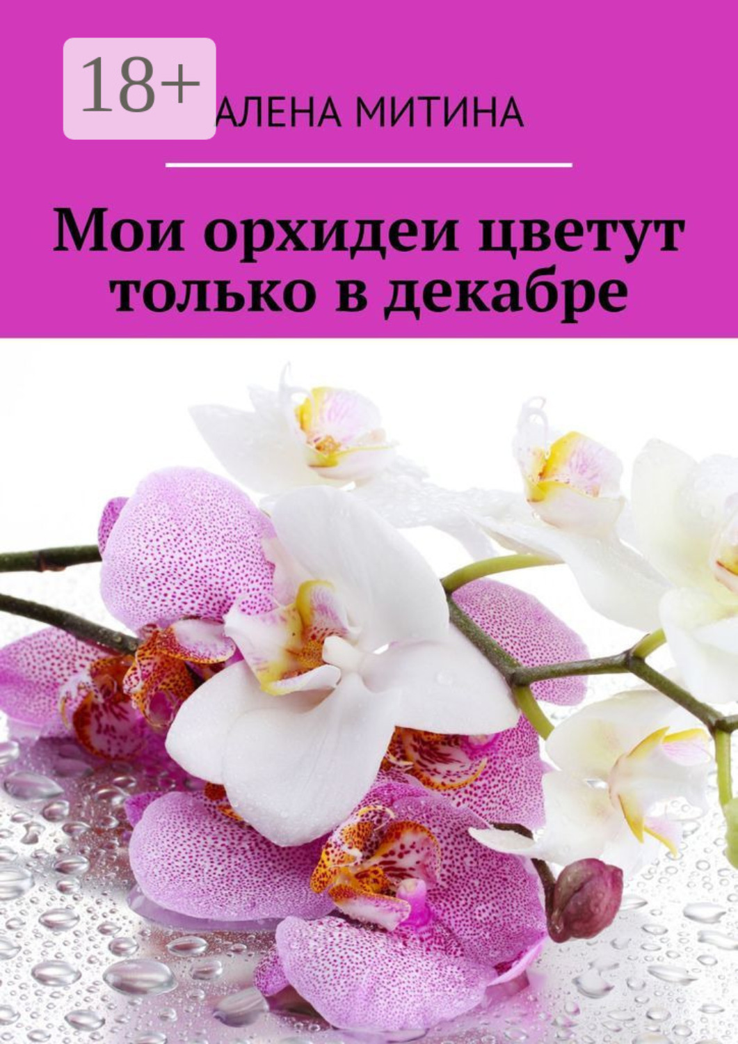 Обложка книги «Мои орхидеи цветут только в декабре»