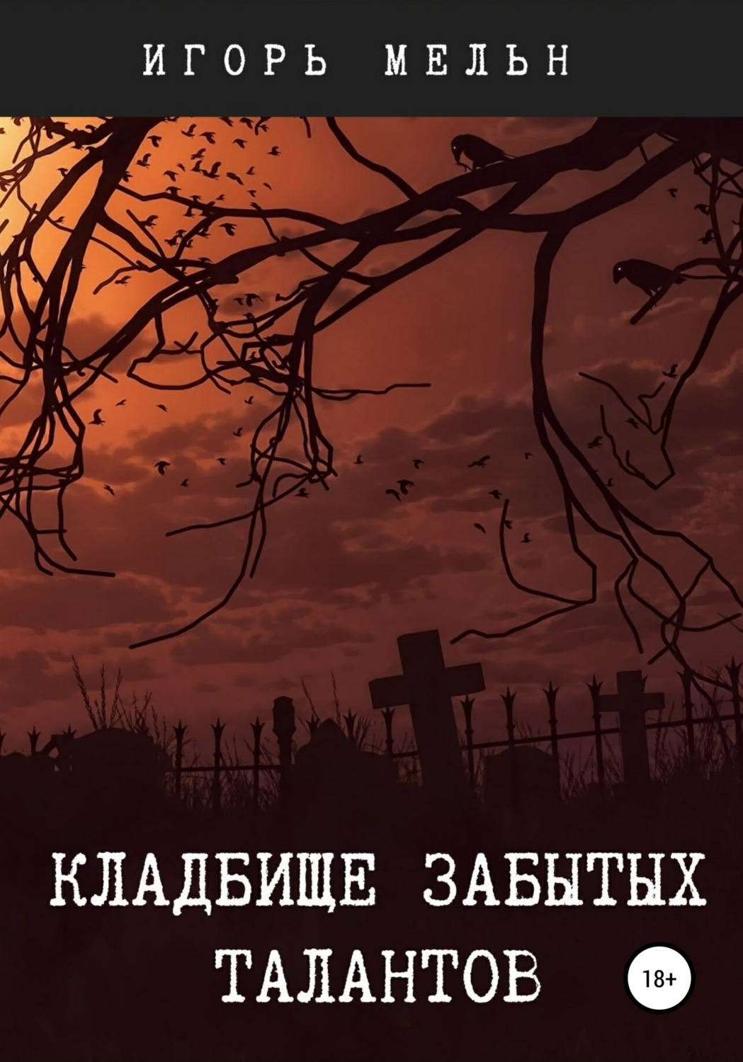 Обложка книги «Кладбище забытых талантов»