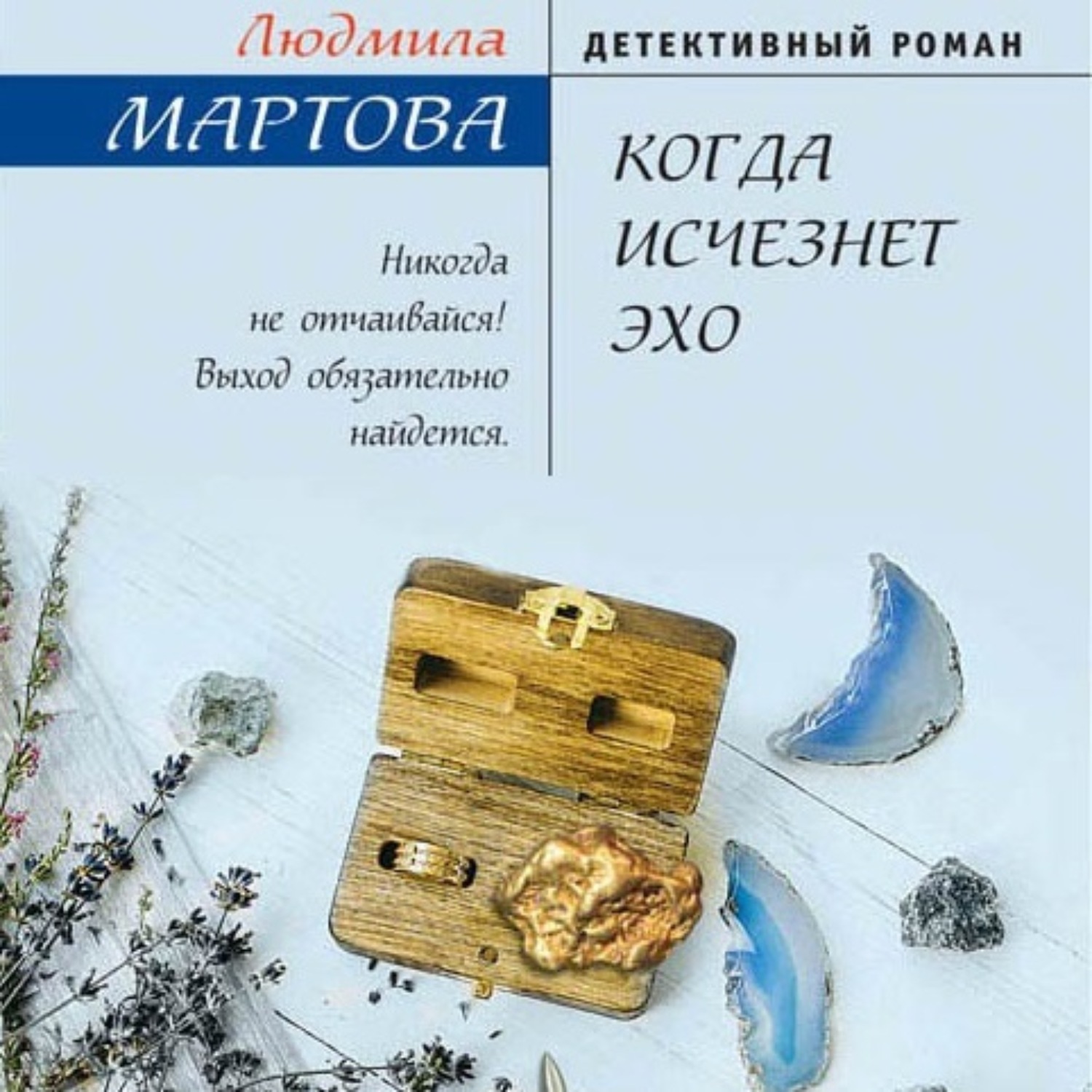 Обложка книги «Когда исчезнет эхо»