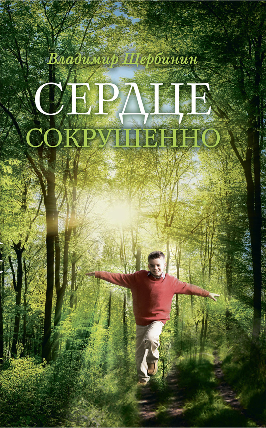 Обложка книги «Сердце сокрушенно»