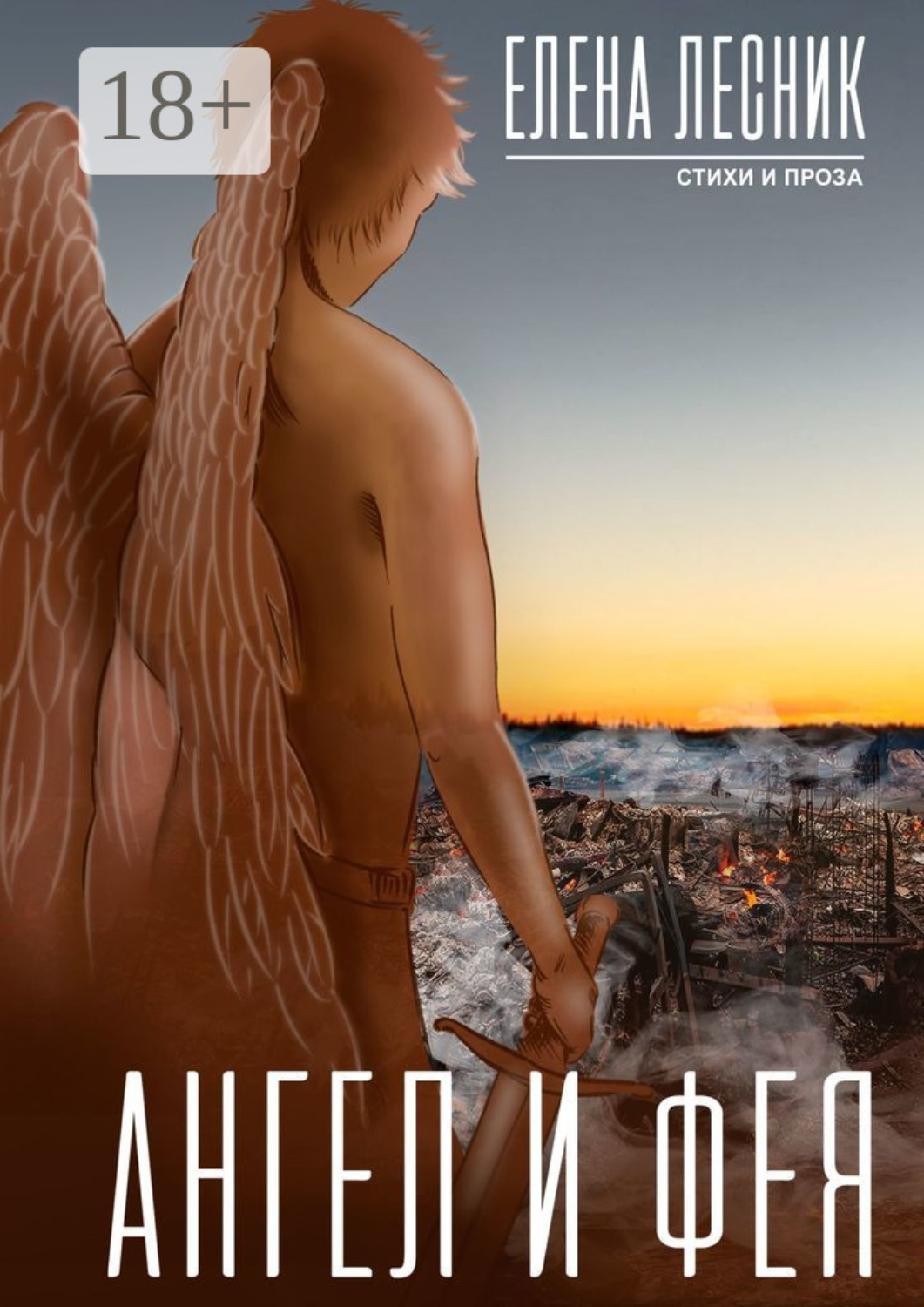 Обложка книги «Ангел и Фея»