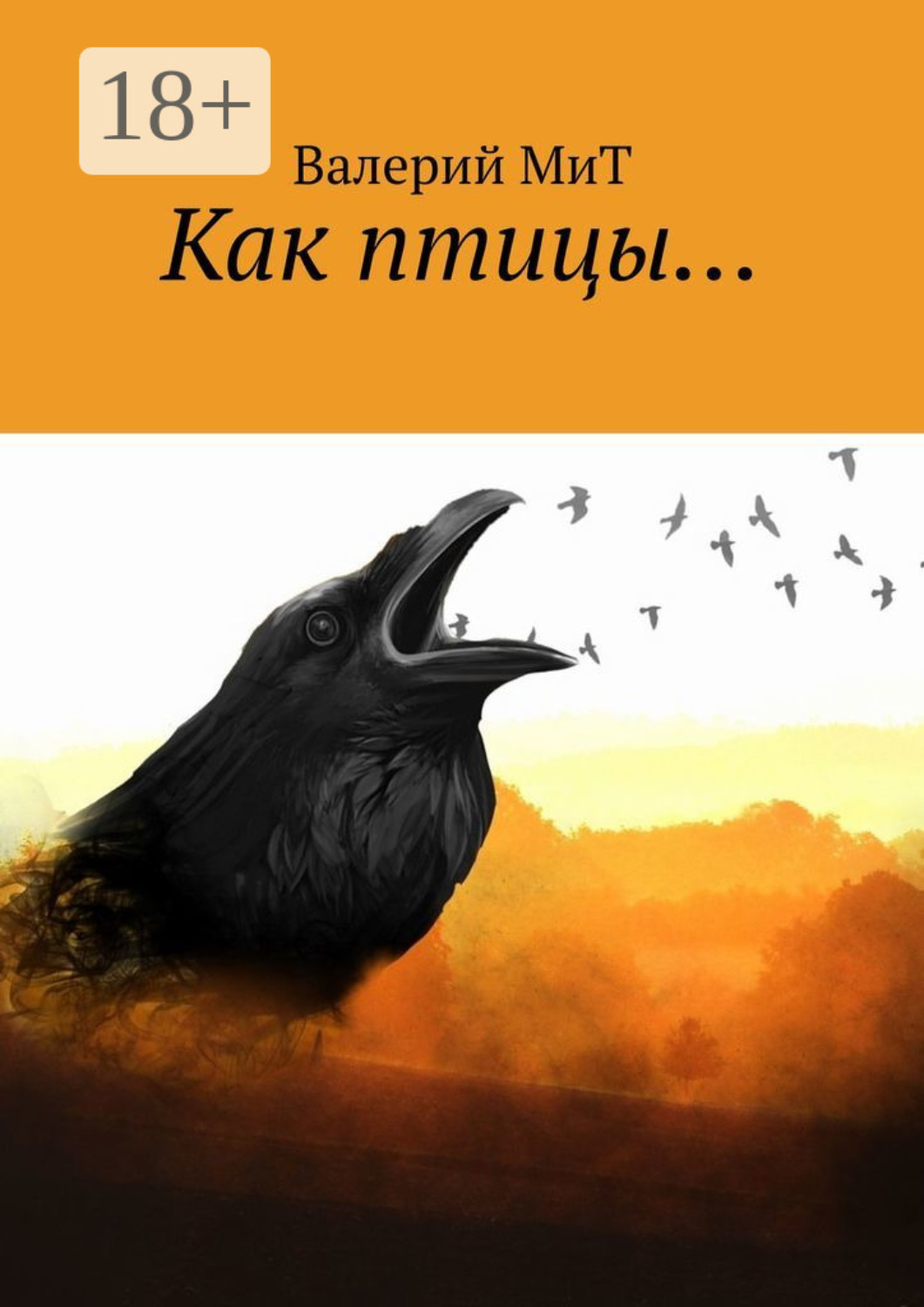 Обложка книги «Как птицы…»