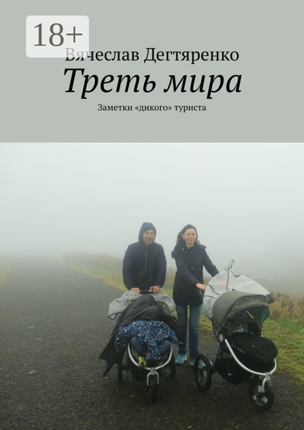 Обложка книги «Треть мира. Заметки «дикого» туриста»