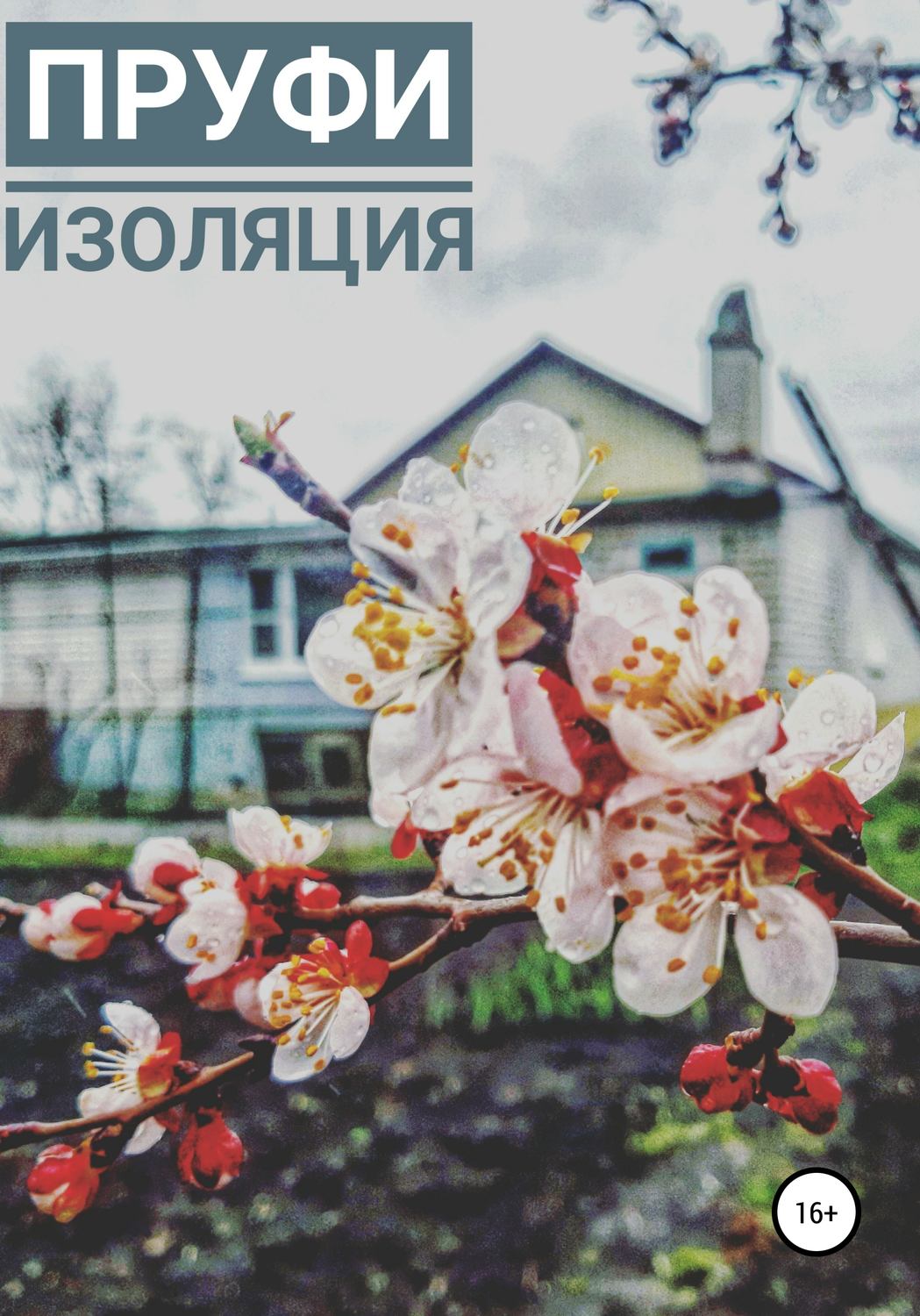 Обложка книги «Изоляция»
