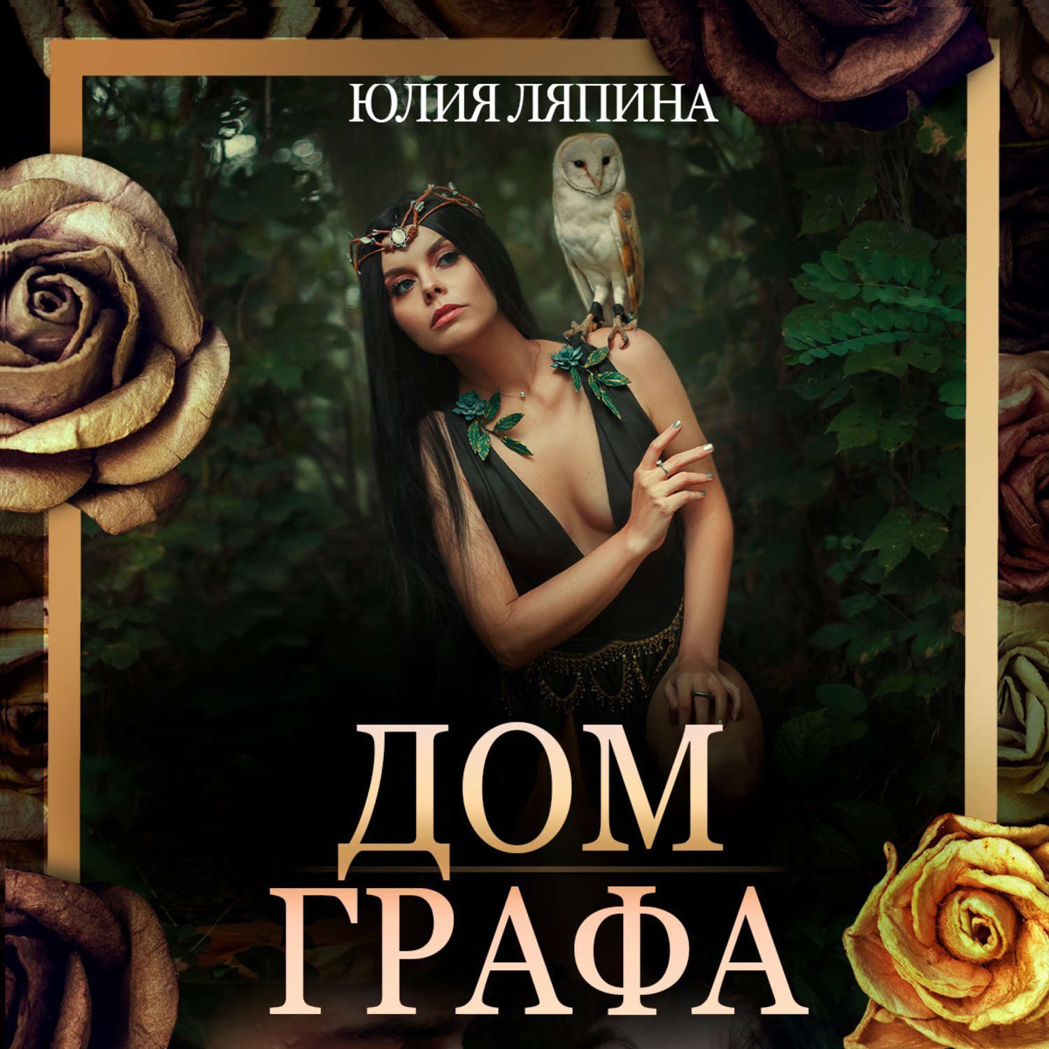 Обложка книги «Дом Графа»