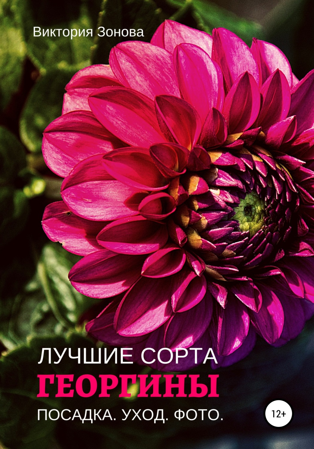 Обложка книги «Георгины. Лучшие сорта»