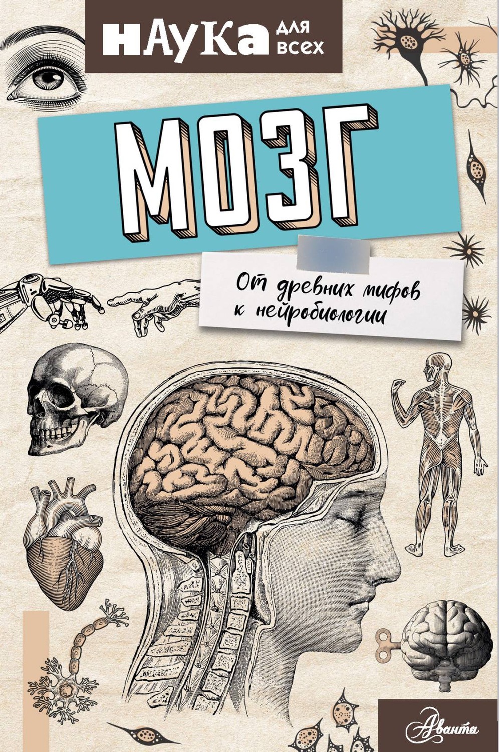 Обложка книги «Мозг. От древних мифов к нейробиологии»