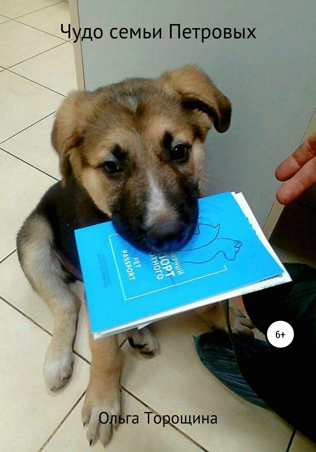 Обложка книги «Чудо семьи Петровых»