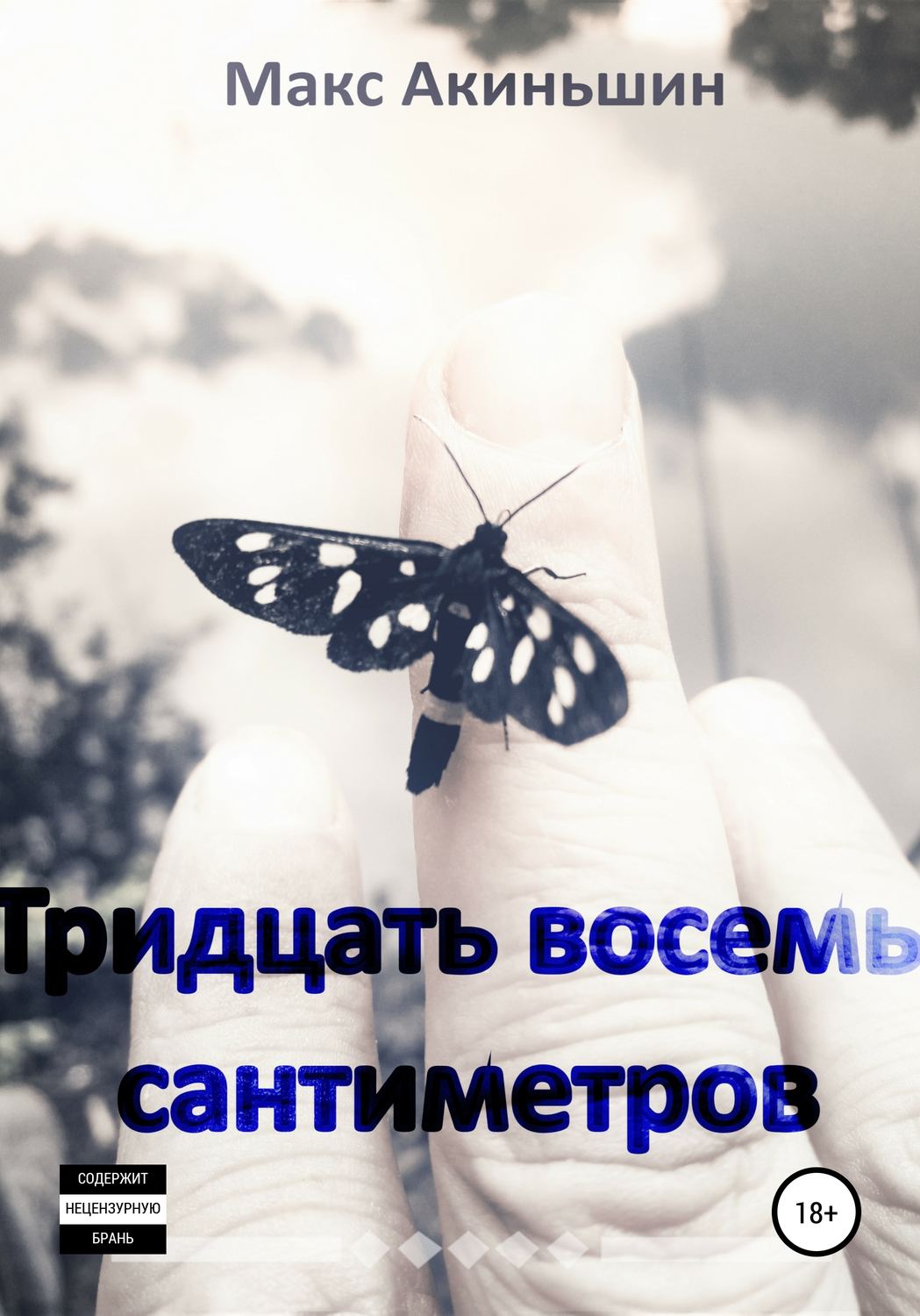 Обложка книги «Тридцать восемь сантиметров»