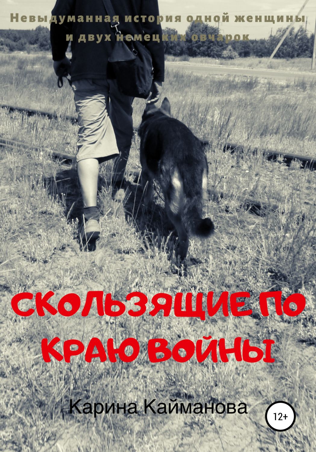Обложка книги «Скользящие по краю войны»