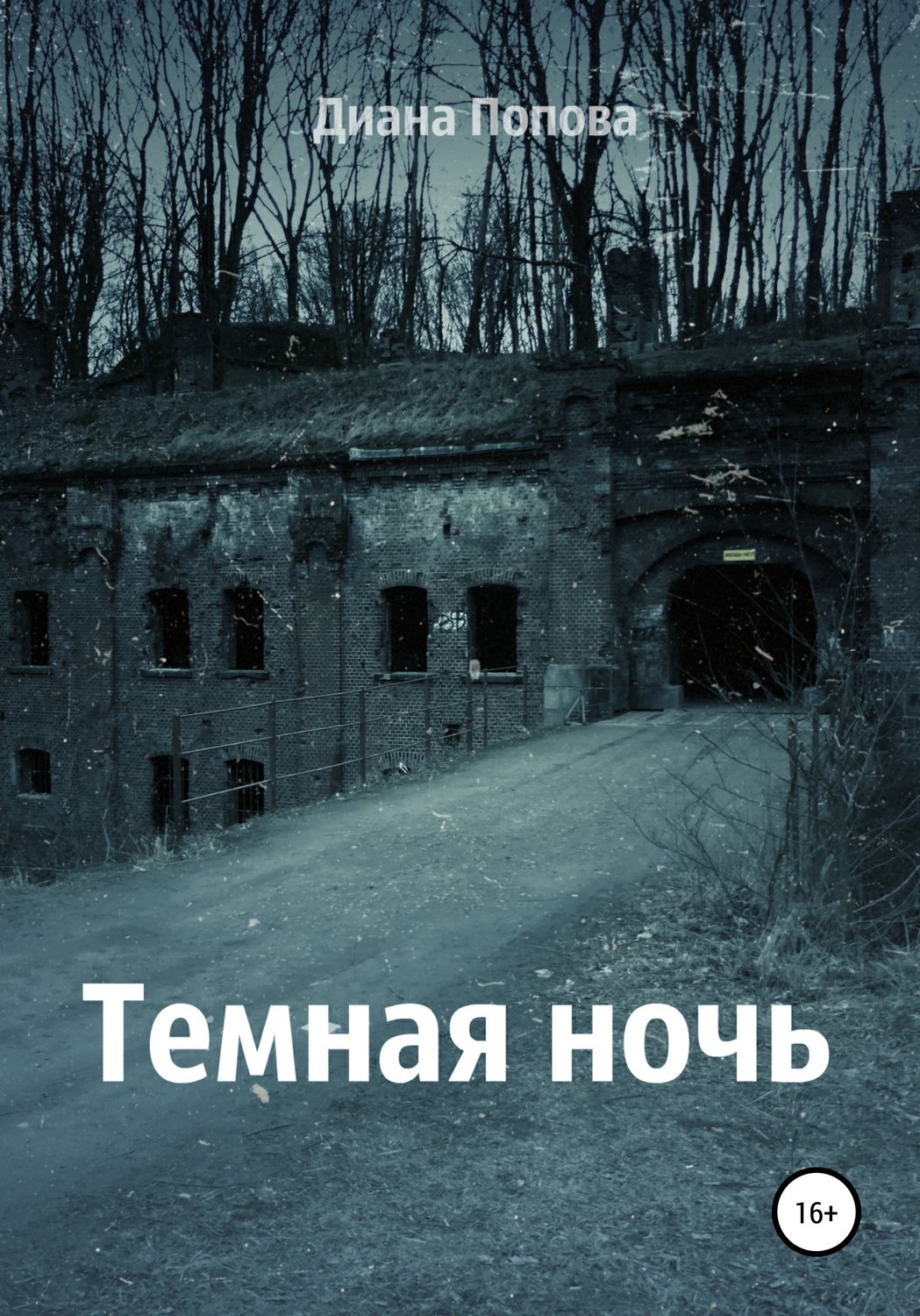Обложка книги «Тёмная ночь»