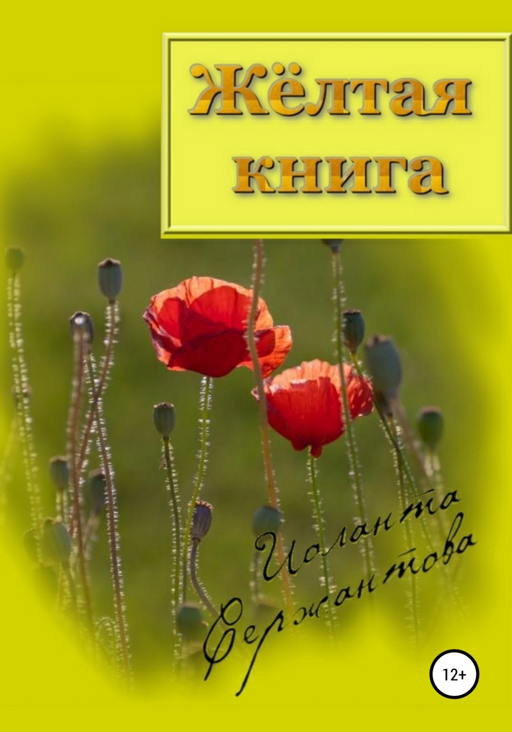 Обложка книги «Жёлтая книга»
