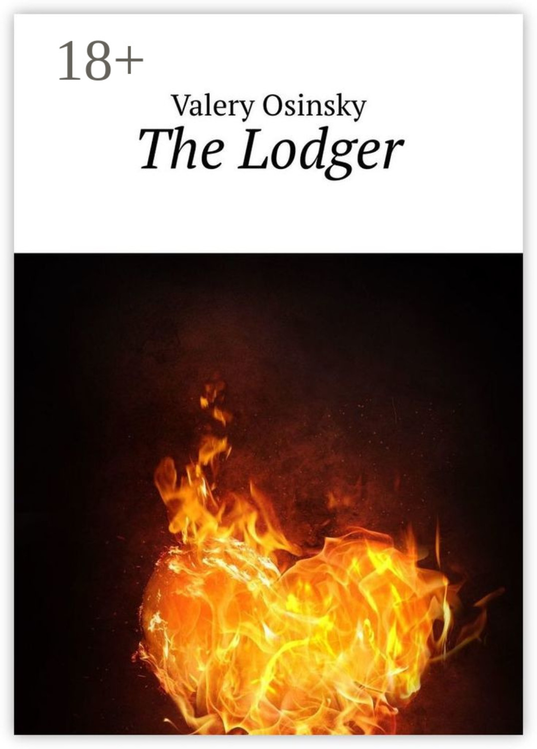 Обложка книги «The Lodger»