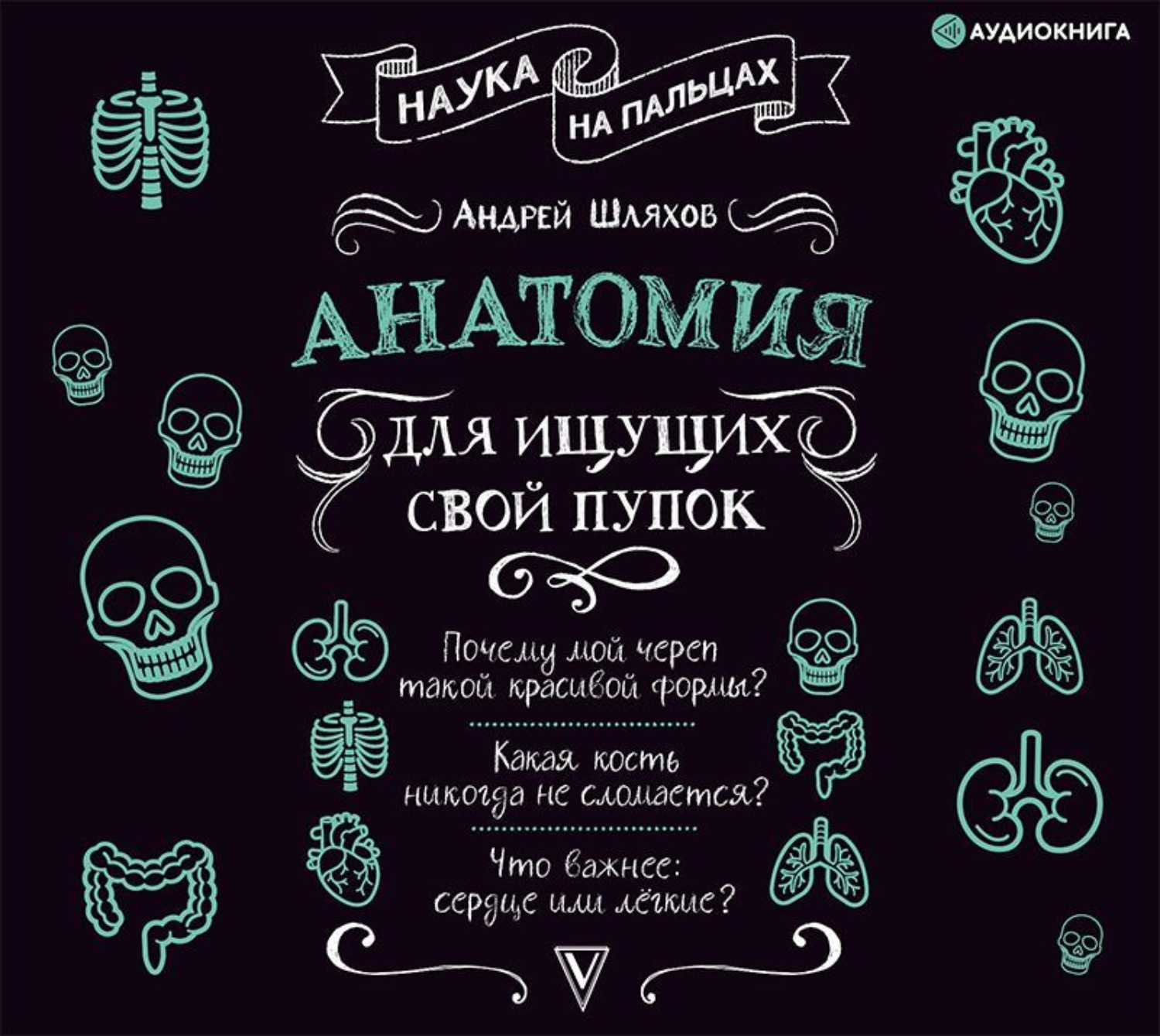 Обложка книги «Анатомия для ищущих свой пупок»
