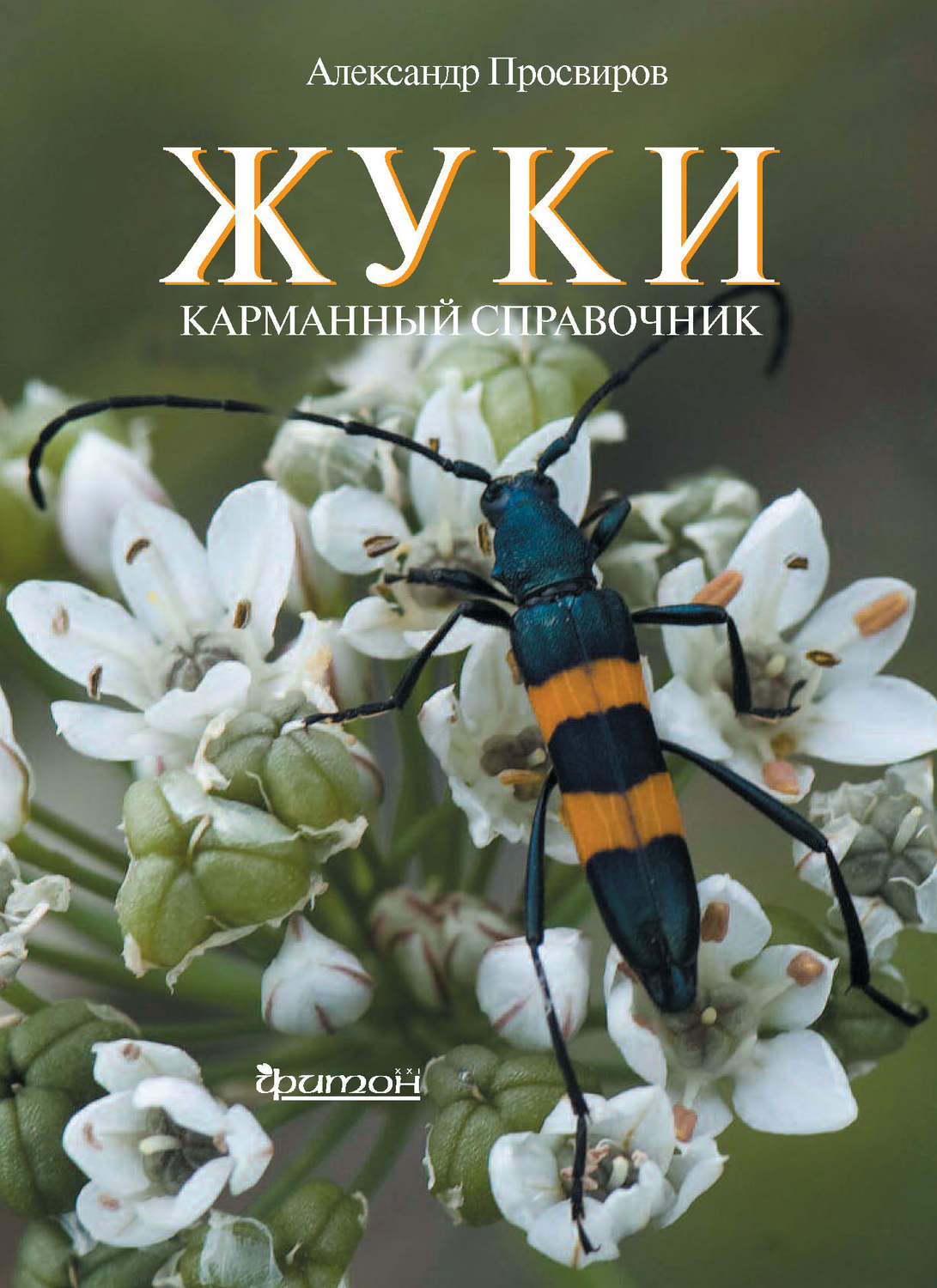 Обложка книги «Жуки»
