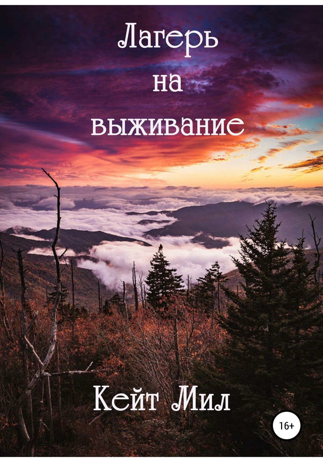 Обложка книги «Лагерь на выживание»