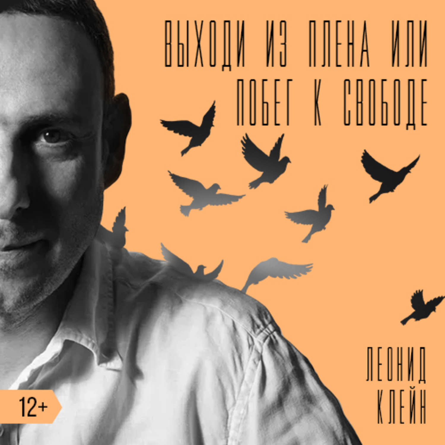 Обложка книги «Выходи из плена, или побег к свободе»